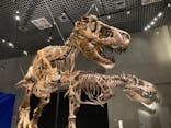 特別展「恐竜博2023」に投稿された画像（2023/5/22）