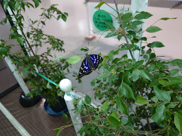 ひらかたパークに投稿された画像（2023/5/22）