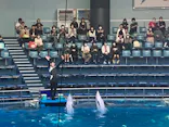 マクセル アクアパーク品川に投稿された画像（2023/5/22）