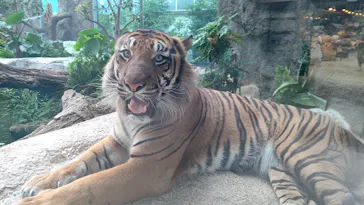 神戸どうぶつ王国に投稿された画像（2023/5/22）