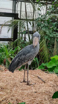 神戸どうぶつ王国に投稿された画像（2023/5/22）