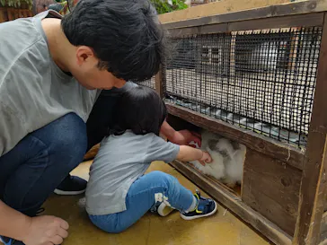 神戸どうぶつ王国に投稿された画像（2023/5/22）