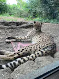 よこはま動物園ズーラシアに投稿された画像（2023/5/23）