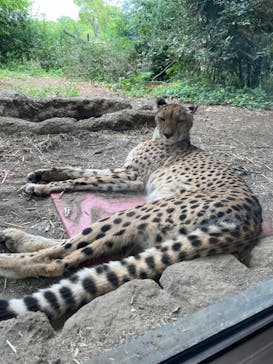 よこはま動物園ズーラシアに投稿された画像（2023/5/22）