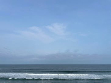 アクアワールド茨城県大洗水族館に投稿された画像（2023/5/22）