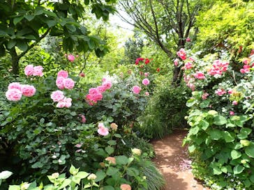 横浜イングリッシュガーデンに投稿された画像（2023/5/21）