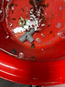 アクアマリンふくしまに投稿された画像（2023/5/23）