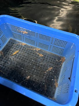 アクアマリンふくしまに投稿された画像（2023/5/23）