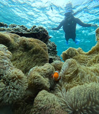 宮古島 ADVENTURE PiPi（ミヤコジマ アドベンチャー ピピ）に投稿された画像（2023/5/23）