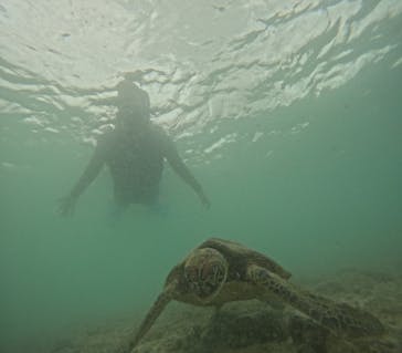 宮古島 ADVENTURE PiPi（ミヤコジマ アドベンチャー ピピ）に投稿された画像（2023/5/23）