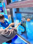 ゼロ距離水族館 伊勢シーパラダイスに投稿された画像（2023/5/23）