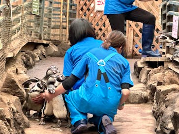 ゼロ距離水族館 伊勢シーパラダイスに投稿された画像（2023/5/23）
