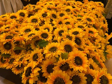 ゴッホ・アライブ神戸に投稿された画像（2023/5/23）