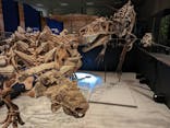 特別展「恐竜博2023」に投稿された画像（2023/5/23）
