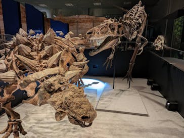 特別展「恐竜博2023」に投稿された画像（2023/5/23）