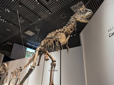 特別展「恐竜博2023」に投稿された画像（2023/5/23）