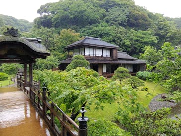 三溪園に投稿された画像（2023/5/23）