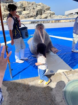 大分マリーンパレス水族館 「うみたまご」に投稿された画像（2023/5/23）