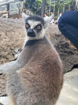神戸どうぶつ王国に投稿された画像（2023/5/23）