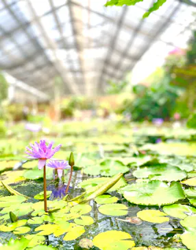 神戸どうぶつ王国に投稿された画像（2023/5/23）