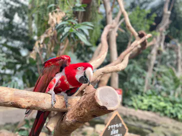 神戸どうぶつ王国に投稿された画像（2023/5/23）