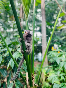 神戸どうぶつ王国に投稿された画像（2023/5/23）