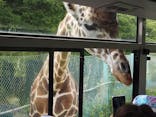 岩手サファリパークに投稿された画像（2023/5/24）