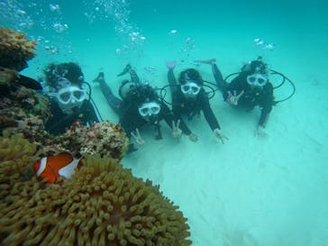 初心者専門マリンサービスサンフィッシュ石垣島に投稿された画像（2023/5/24）