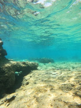 沖縄マリンサービス碧に投稿された画像（2023/5/24）