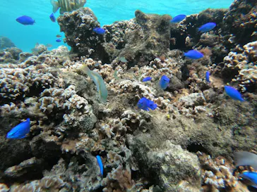 武藤潜水に投稿された画像（2023/5/24）