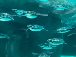 天王寺動物園に投稿された画像（2023/5/24）