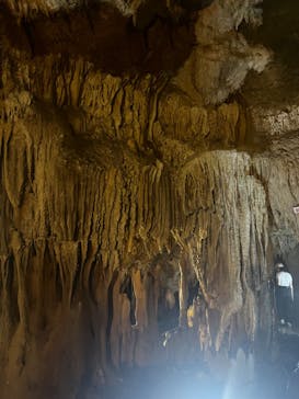 石垣島鍾乳洞に投稿された画像（2023/5/24）