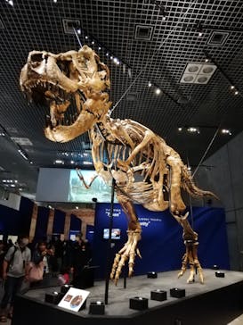 特別展「恐竜博2023」に投稿された画像（2023/5/24）
