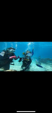 青の洞窟専門店　沖縄ダイビングショップ和に投稿された画像（2023/5/24）
