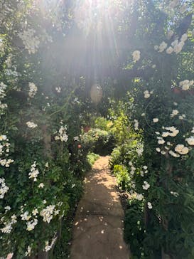 横浜イングリッシュガーデンに投稿された画像（2023/5/24）