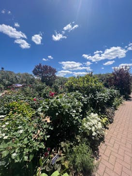 横浜イングリッシュガーデンに投稿された画像（2023/5/24）