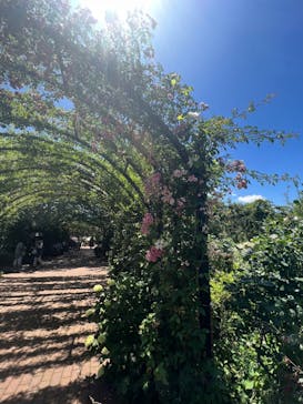 横浜イングリッシュガーデンに投稿された画像（2023/5/24）