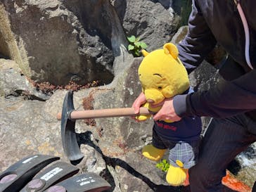 土肥金山に投稿された画像（2023/5/24）