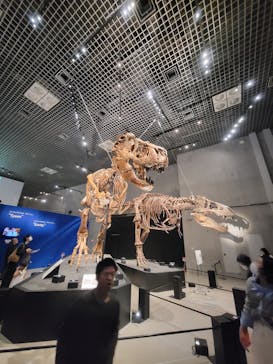 特別展「恐竜博2023」に投稿された画像（2023/5/24）