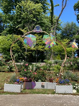 京成バラ園に投稿された画像（2023/5/24）