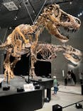 特別展「恐竜博2023」に投稿された画像（2023/5/24）