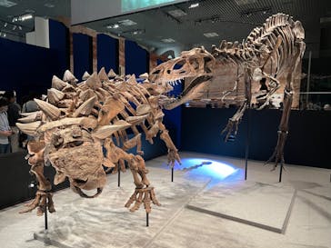 特別展「恐竜博2023」に投稿された画像（2023/5/24）