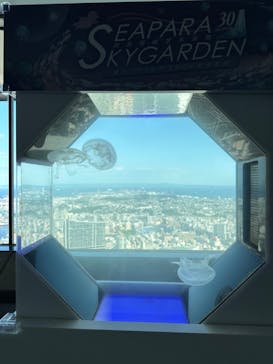 横浜ランドマークタワー 69階展望フロア スカイガーデンに投稿された画像（2023/5/24）