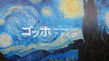 ゴッホ・アライブ神戸に投稿された画像（2023/5/24）