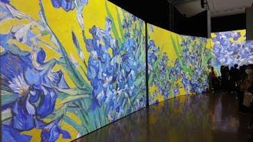 ゴッホ・アライブ神戸に投稿された画像（2023/5/24）