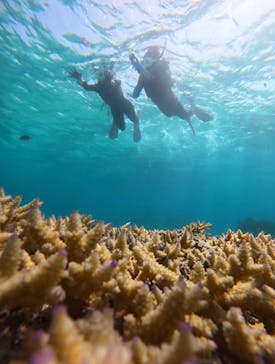 青の洞窟専門店　沖縄ダイビングショップ和に投稿された画像（2023/5/24）