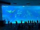 沖縄美ら海水族館に投稿された画像（2023/5/24）