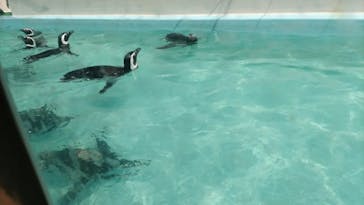 株式会社Gに投稿された画像（2023/5/24）