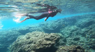 武藤潜水に投稿された画像（2023/5/24）