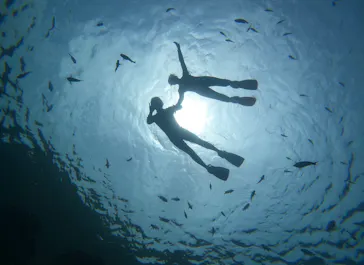武藤潜水に投稿された画像（2023/5/24）